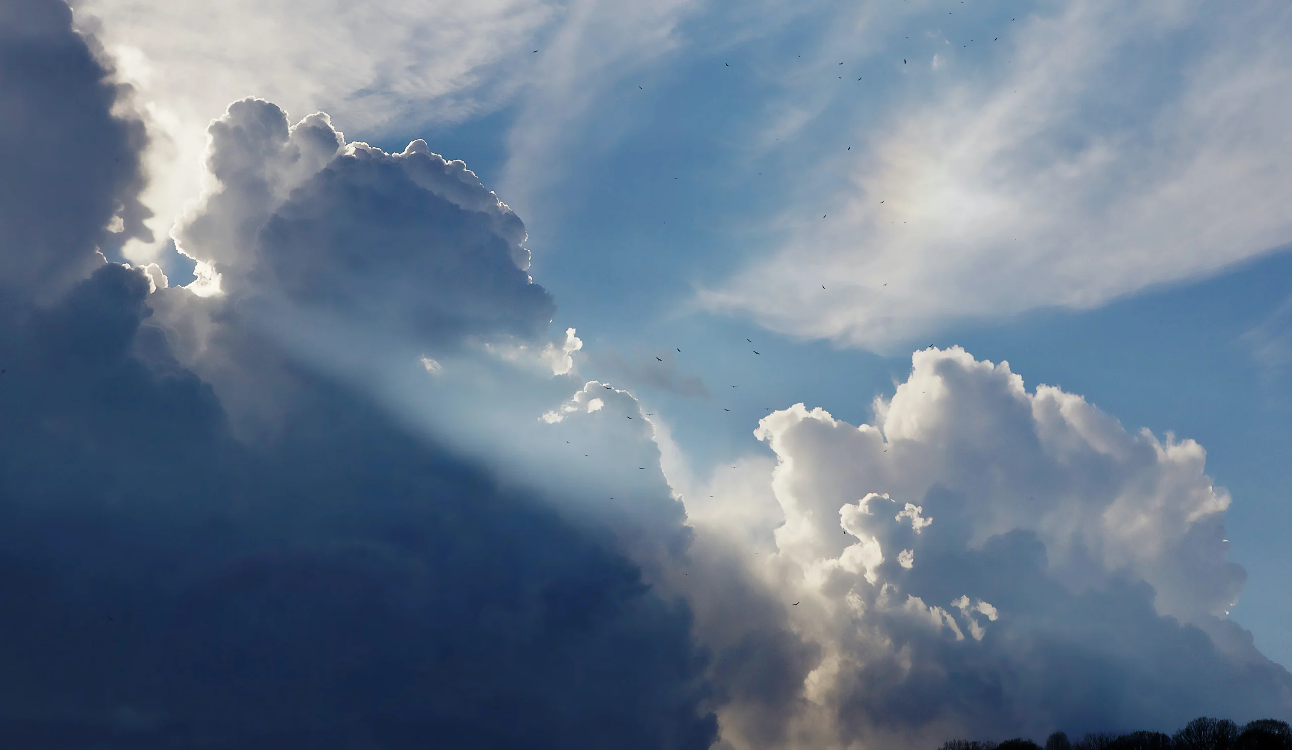 Web Hosting On Global Cloud Enterprise