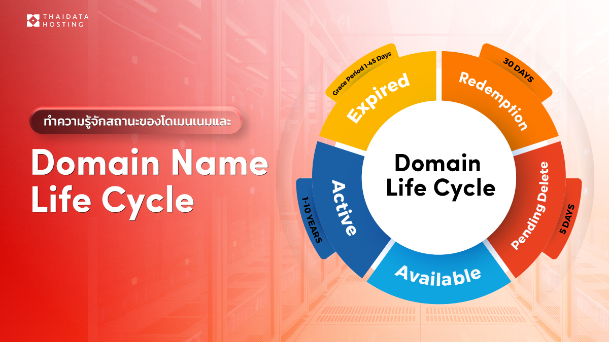 Domain Name Life Cycle