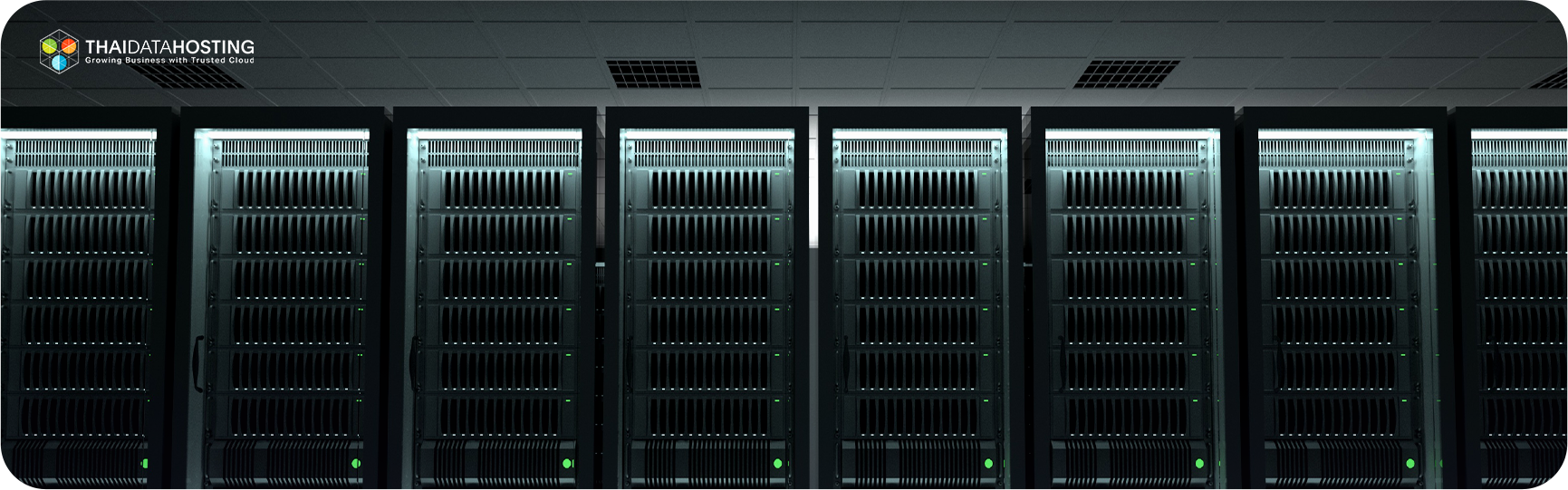 wordpress hosting