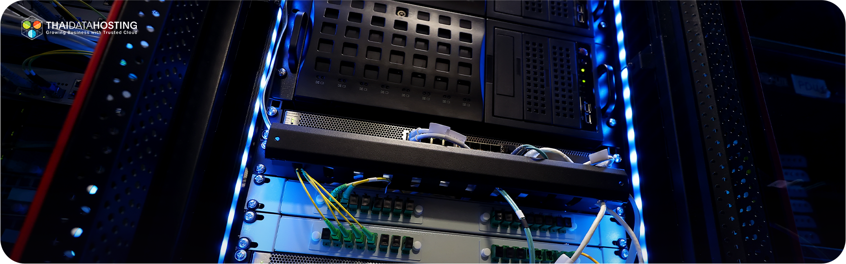 Hosting Shared