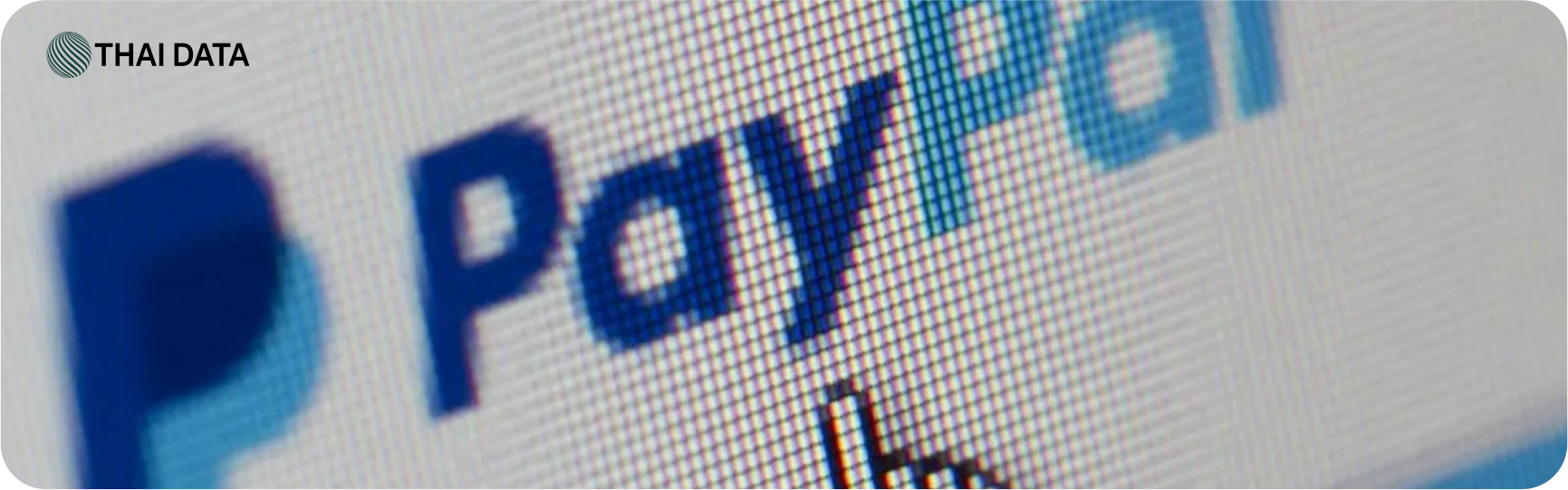 paypal data breach exposure 6 months 2026