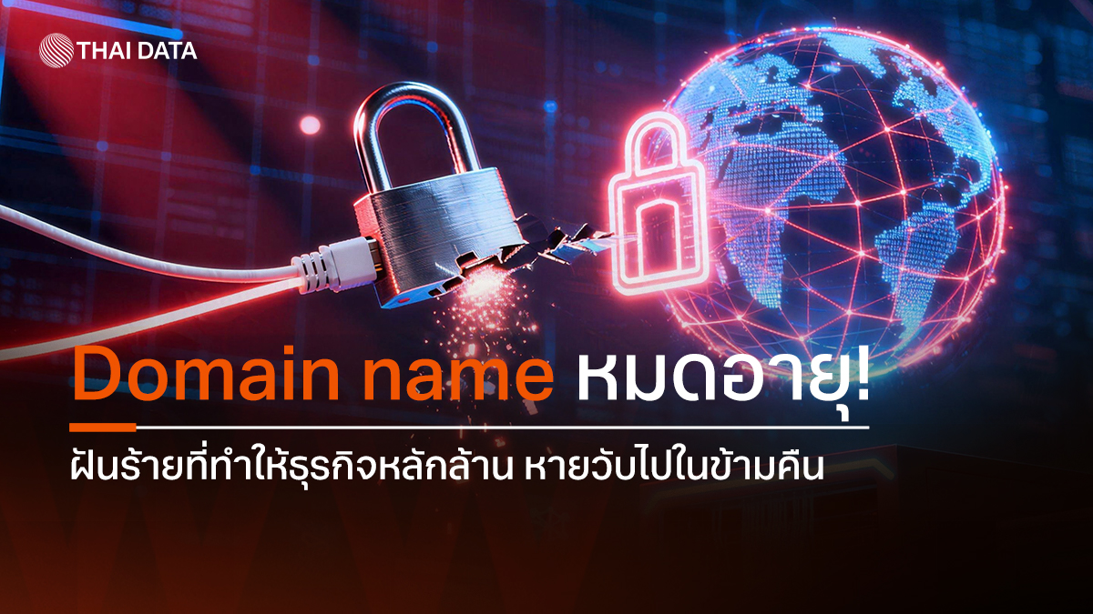 domain name expiration nightmare business risk
