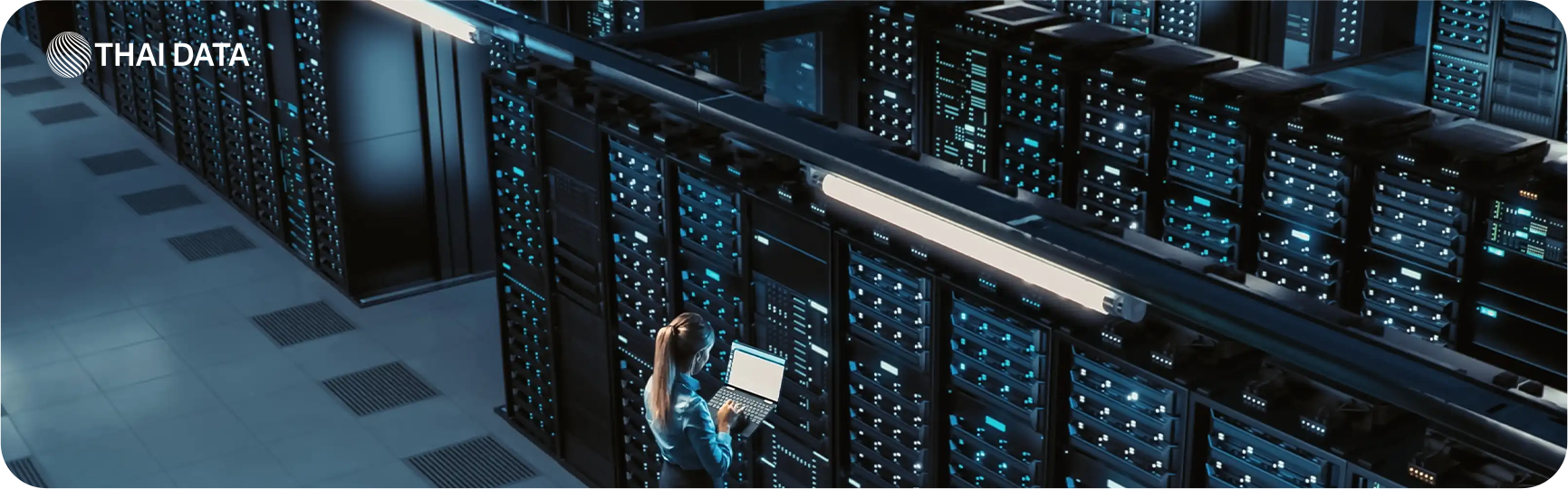 what is webhosting knowledge and product guide